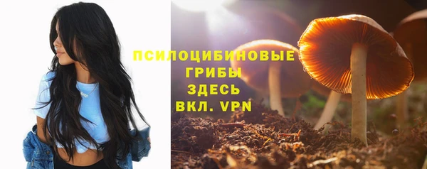 твердый Беломорск