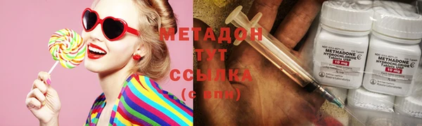 прущие грибы Переславль-Залесский