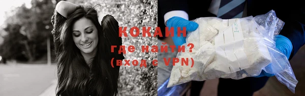 прущие грибы Переславль-Залесский