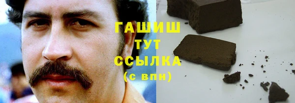 молекула духа Пересвет