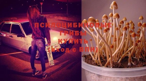 PSILOCYBIN Белоозёрский