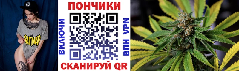 Конопля ГИДРОПОН Краснокаменск